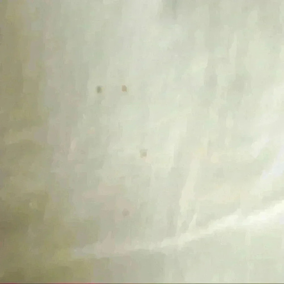 New York and Company Women’s Capri Pants - Picture 3 of 5